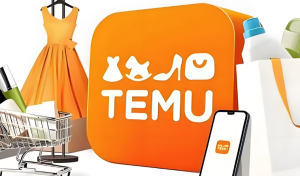 Temu选品技巧-跨境门