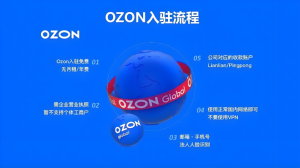 Ozon开店入驻完整指南-跨境门