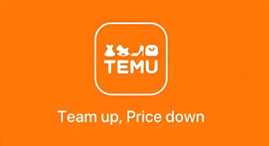 Temu广告投放技巧-跨境门