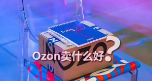 Ozon店铺运营计划从0到10打造爆款店铺-跨境门