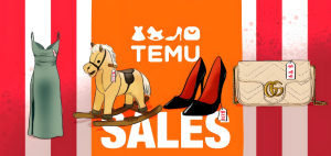 Temu收款系统全解指南-跨境门