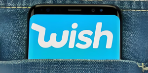 Wish广告投放实战指南 从算法解析到效果倍增-跨境门