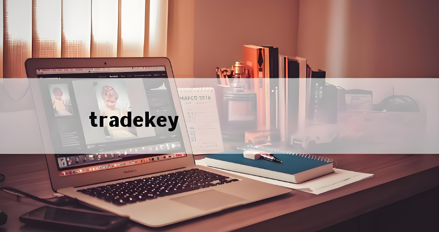 TradeKey支付工具全解析 安全、效率与信任的平衡术